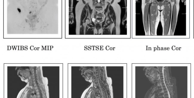 ⭐️ka プロフ必須 ⭐️医療系のための情報リテラシー＋HUMAN BODY 医療系のための情報リテラシー - 共立出版